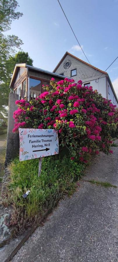 Ferienwohnungen Hering Kleingiesshubel 외부 사진